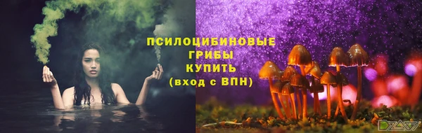 сатива Балабаново