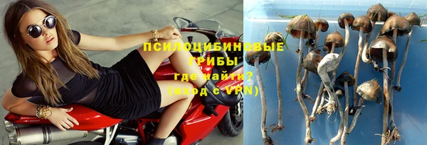 сатива Балабаново