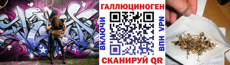 Галлюциногенные грибы прущие грибы Красный Холм
